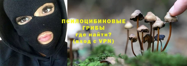 ешки Армянск