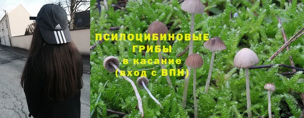 ешки Армянск