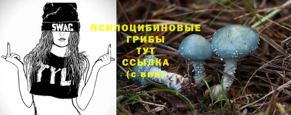 ешки Армянск
