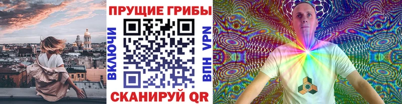 Галлюциногенные грибы прущие грибы  Порхов 